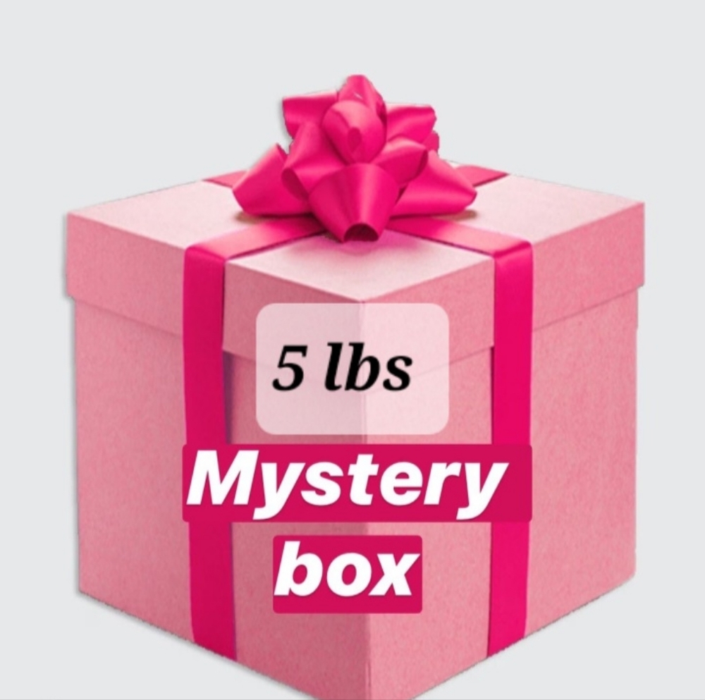 5 Lbs Reseller Mystery Box Varies Sizes New with Tags and Gently Used Clothing